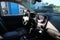 2022 Chevrolet Colorado 4WD Z71